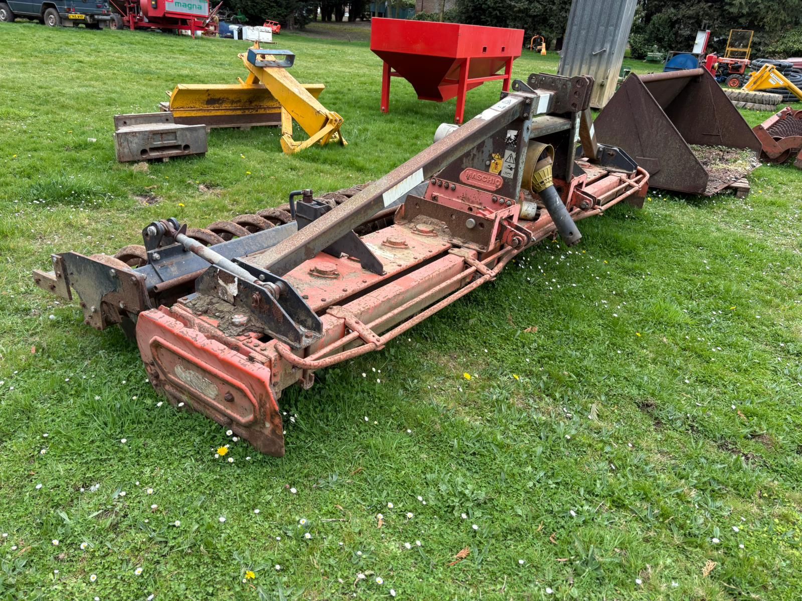Maschio photo 1