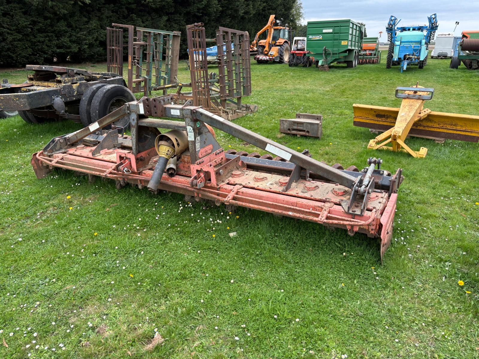 Maschio photo 2