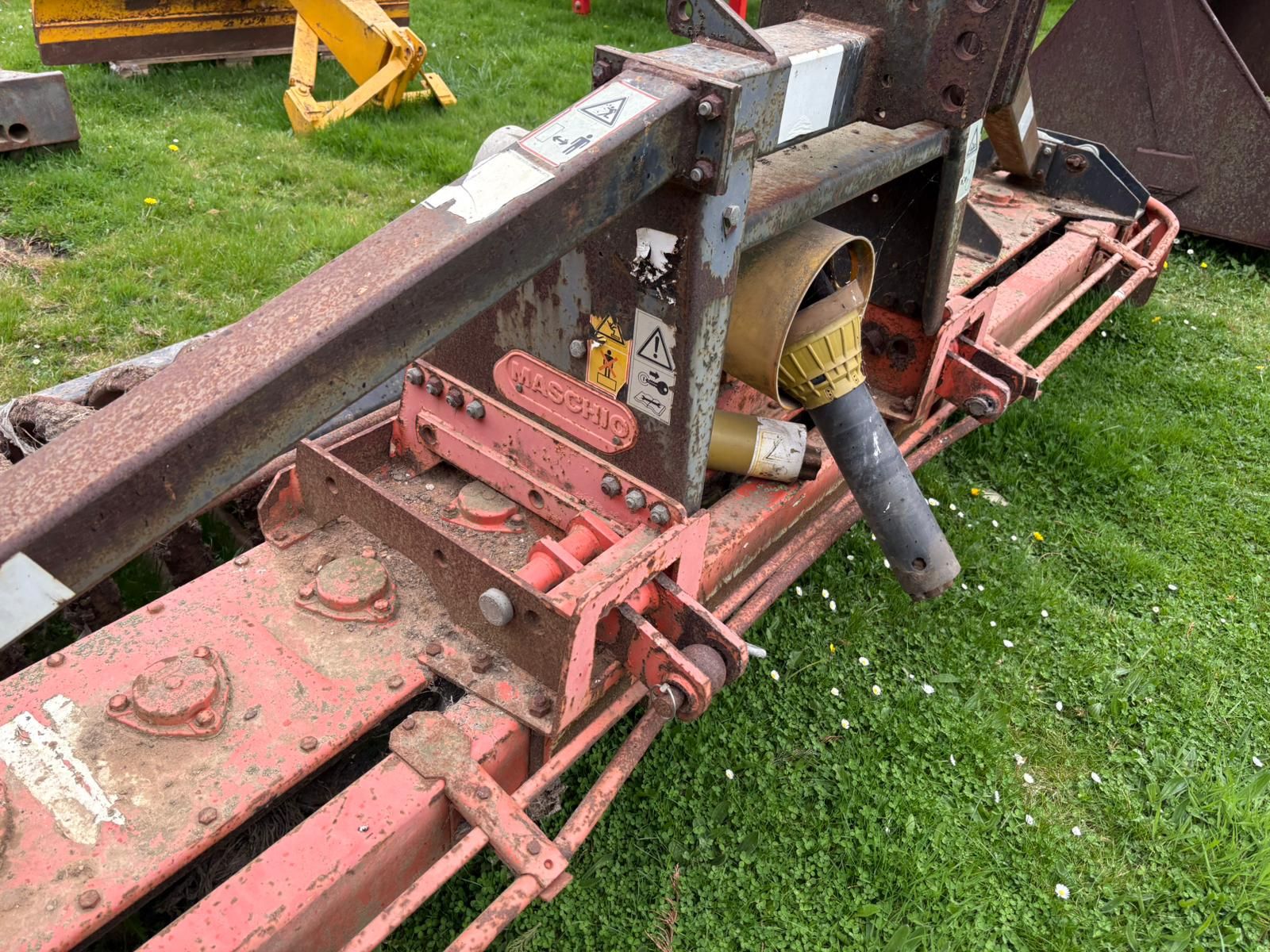 Maschio photo 3